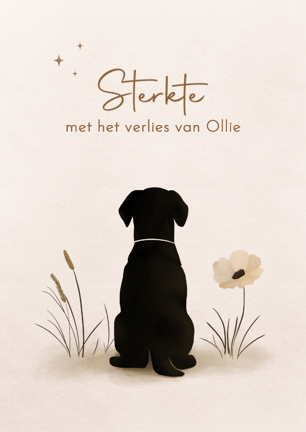 Condoleancekaarten - Condoleancekaart verlies hond met mooie bloemen en sterren