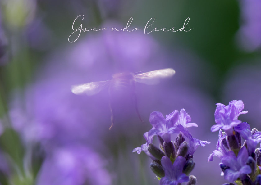 Condoleancekaarten - Condoleancekaart verstilde foto met bloemen en bij