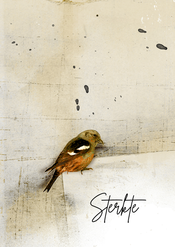 Condoleancekaart vogel op papier - Condoleancekaarten Condoleancekaarten - Condoleancekaart vogel op papier