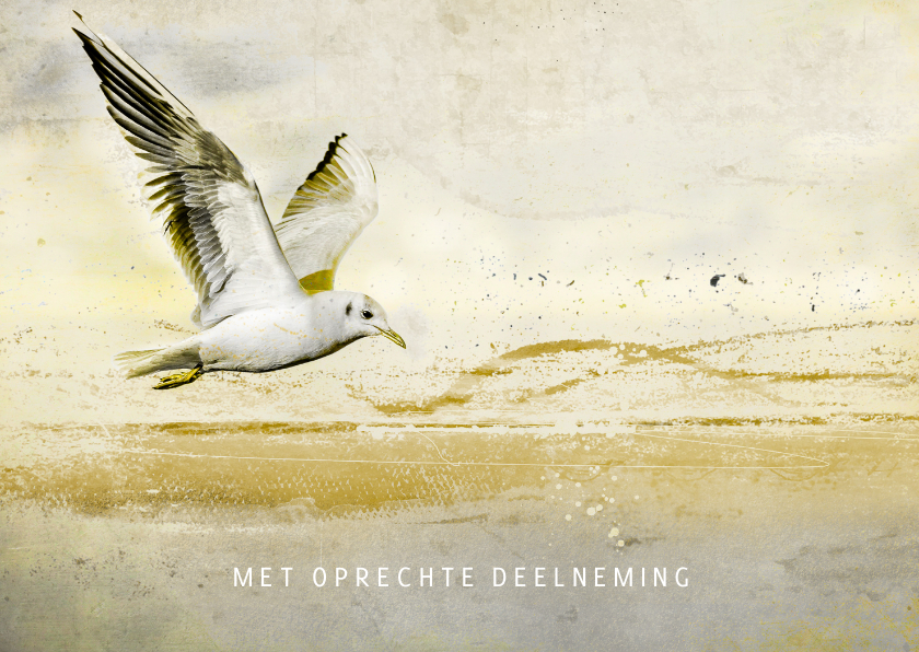 Condoleancekaart vogel strand abstract - Condoleancekaarten Condoleancekaarten - Condoleancekaart vogel strand abstract