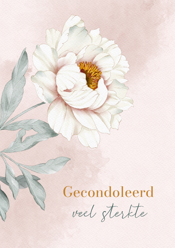 Condoleancekaarten - Condoleancekaart witte pioenroos