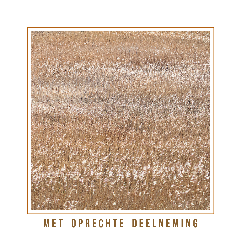 Condoleancekaarten - Condoleancekaart wuivend riet in de wind