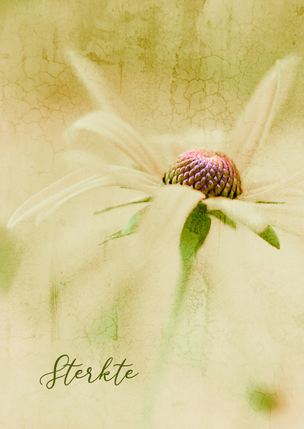 Condoleancekaarten - Condoleancekaart zonnehoed bloem sereen