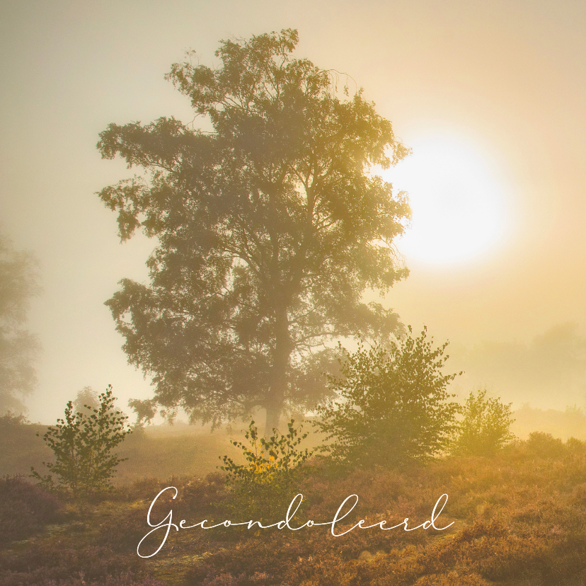 Condoleancekaarten - Condoleancekaart zonsopkomst heide