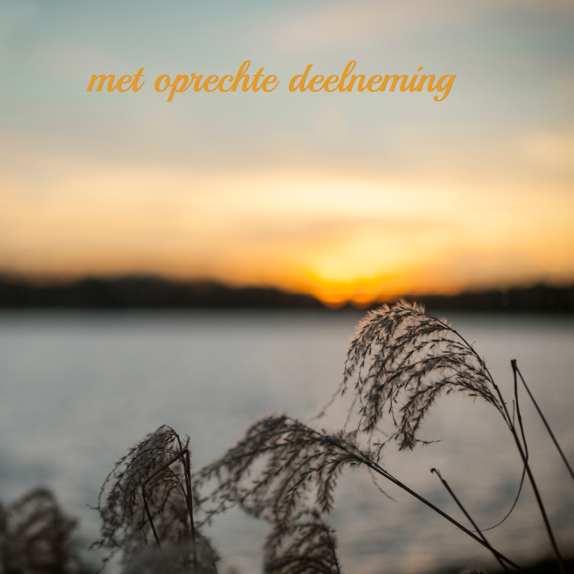 Condoleancekaarten riet MM - Condoleancekaarten Condoleancekaarten - Condoleancekaarten riet MM