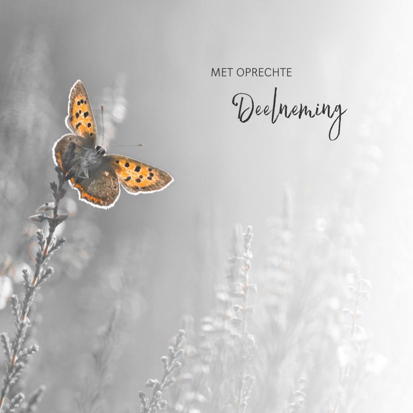 Deelneming met vlinder - Condoleancekaarten Condoleancekaarten - Deelneming met vlinder
