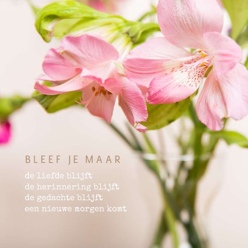 Een sterkte kaart voor een blijvende herinnering - Condoleancekaarten Condoleancekaarten - Een sterkte kaart voor een blijvende herinnering