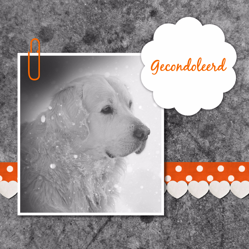 Hond met linten - DH - Condoleancekaarten Condoleancekaarten - Hond met linten - DH