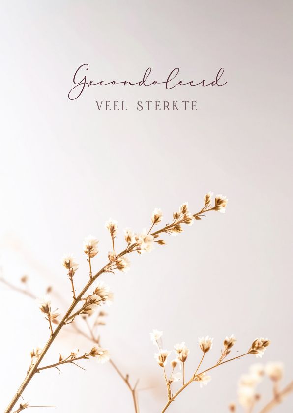 Klassiek condoleancekaart met subtiel takje gecondoleerd - Condoleancekaarten Condoleancekaarten - Klassiek condoleancekaart met subtiel takje gecondoleerd