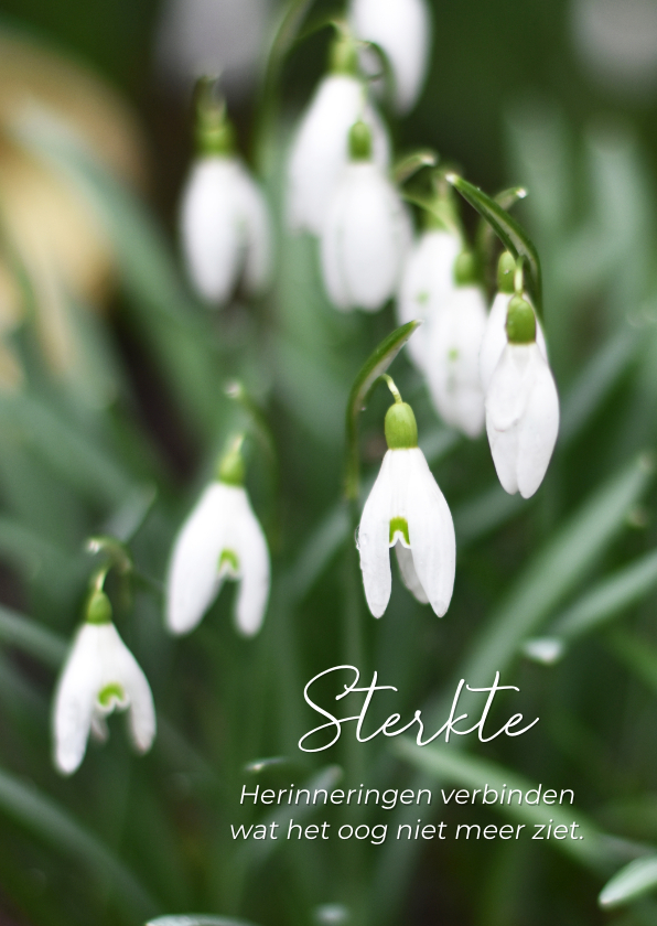 Condoleancekaarten - Klassieke condoleance sterkte kaart met sneeuwklokjes foto