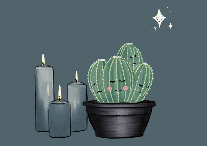 Condoleancekaarten - Lieve condoleancekaart met cactussen, sterren & kaarsen