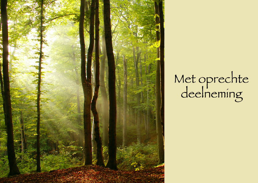 Met oprechte deelneming boom - Condoleancekaarten Condoleancekaarten - Met oprechte deelneming boom
