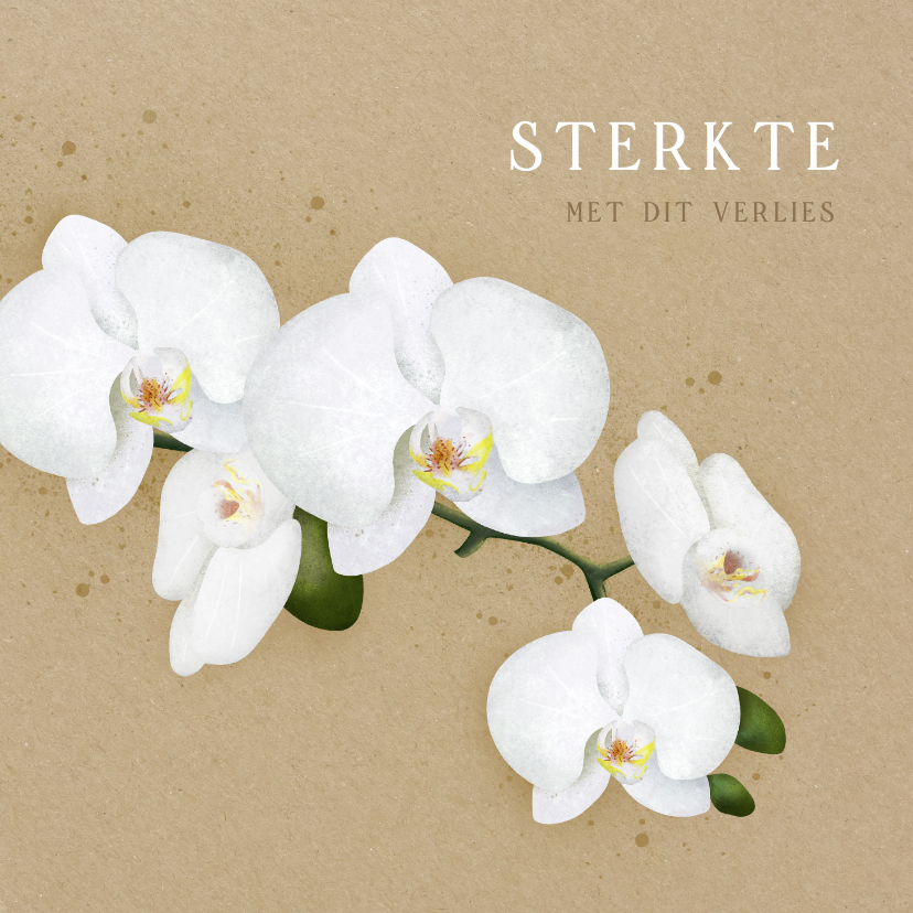 Condoleancekaarten - Moderne condoleancekaart met witte orchidee 