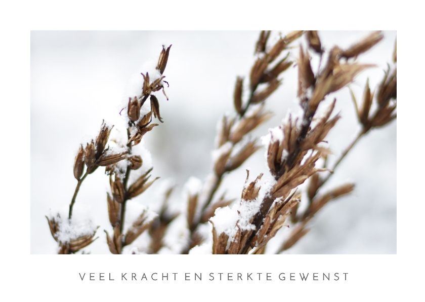 Condoleancekaarten - Moderne winterse condoleance kaart met natuurfoto 