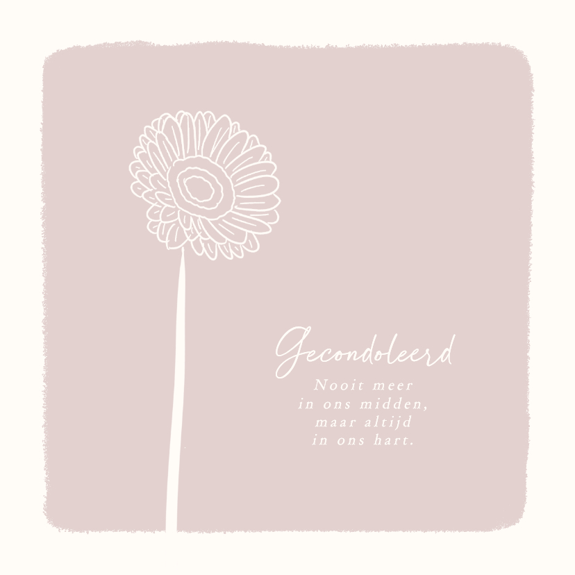 Condoleancekaarten - Roze condoleance kaartje met bloem gerbera