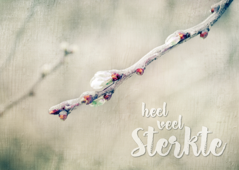 Sterkte - Bevroren Takje - Condoleancekaarten Condoleancekaarten - Sterkte - Bevroren Takje