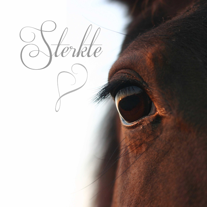 Condoleancekaarten - Sterkte close up paardenoog