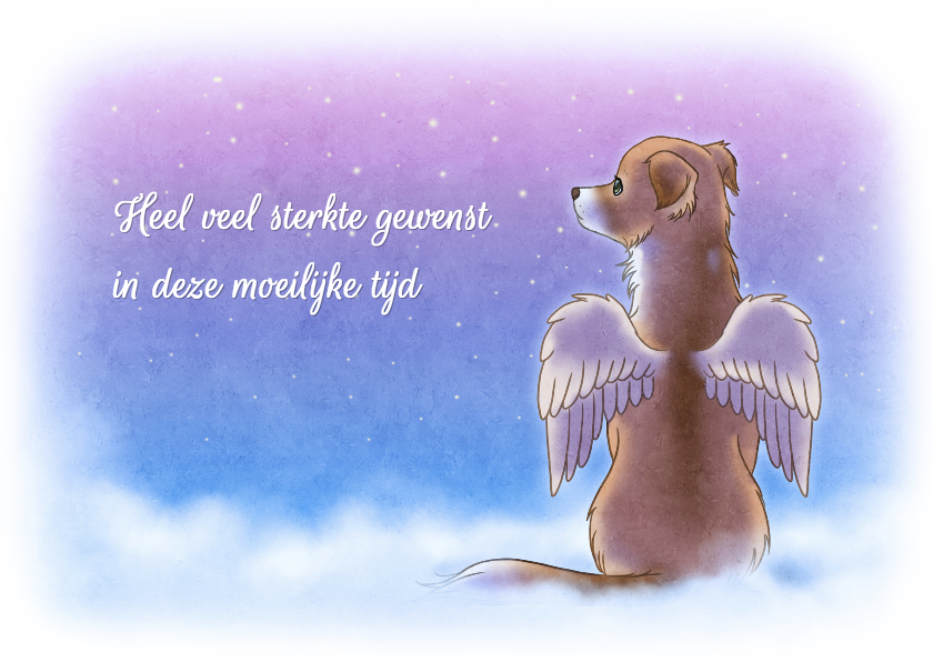 Condoleancekaarten - Sterkte engeltje huisdieren