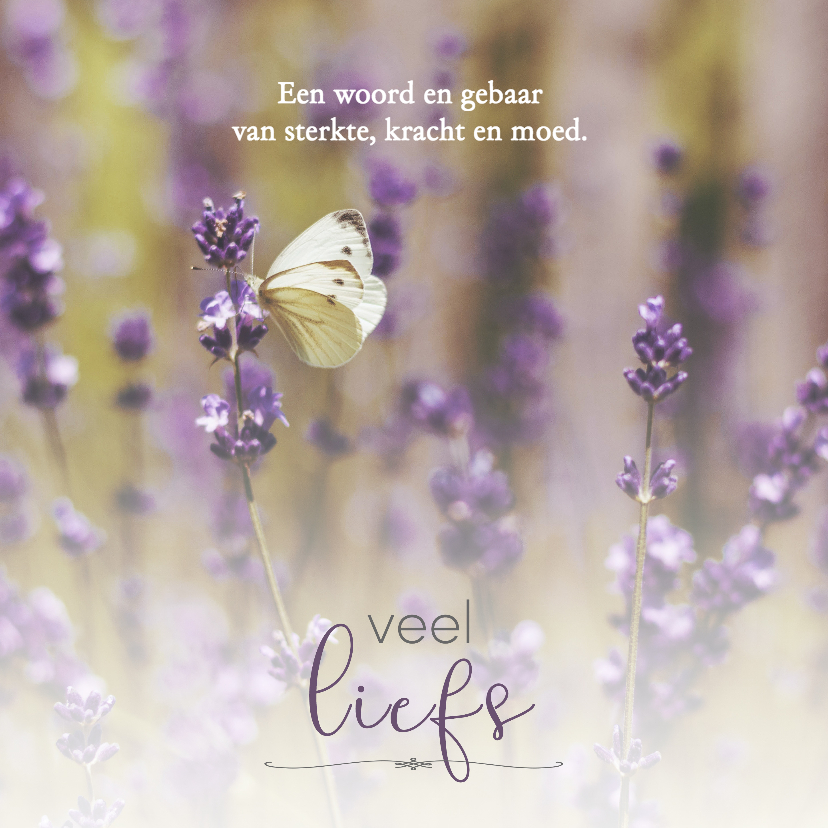 Sterkte kaart met vlinder - Condoleancekaarten Condoleancekaarten - Sterkte kaart met vlinder