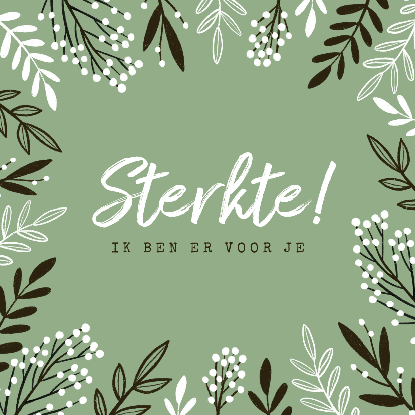 Sterkte kaart takjes bloemen dikke knuffel sterkte - Condoleancekaarten Condoleancekaarten - Sterkte kaart takjes bloemen dikke knuffel sterkte
