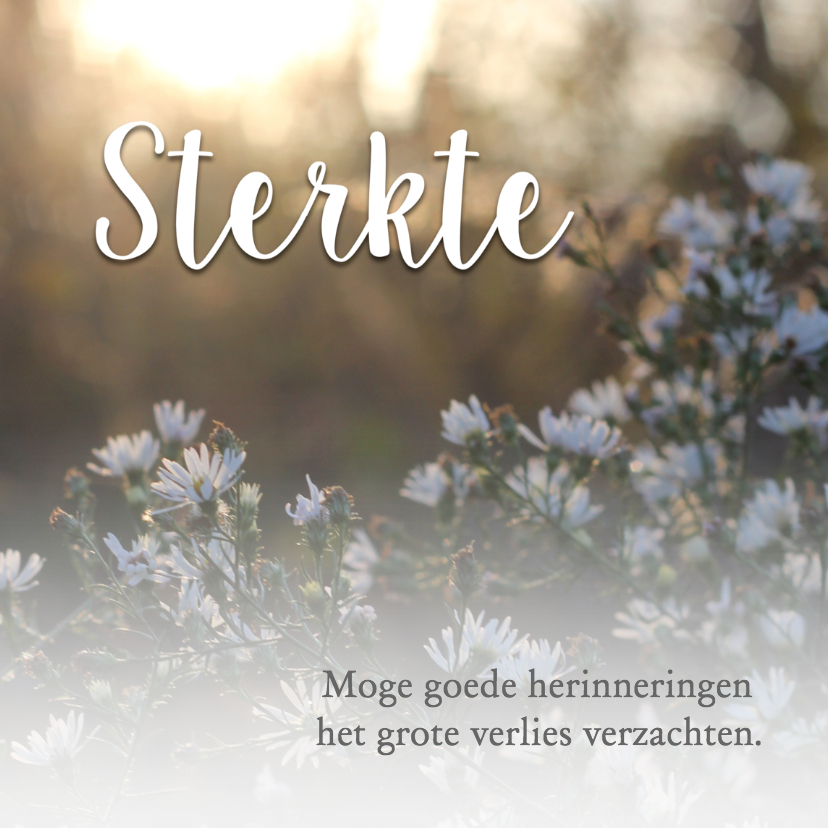 Condoleancekaarten - Sterkte met bloemen / condoleance