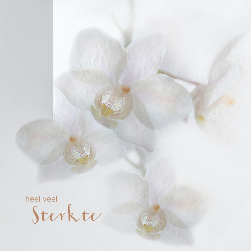 Condoleancekaarten - Sterkte met orchideeën