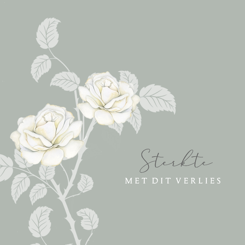 Condoleancekaarten - Sterktekaart mooie witte rozen