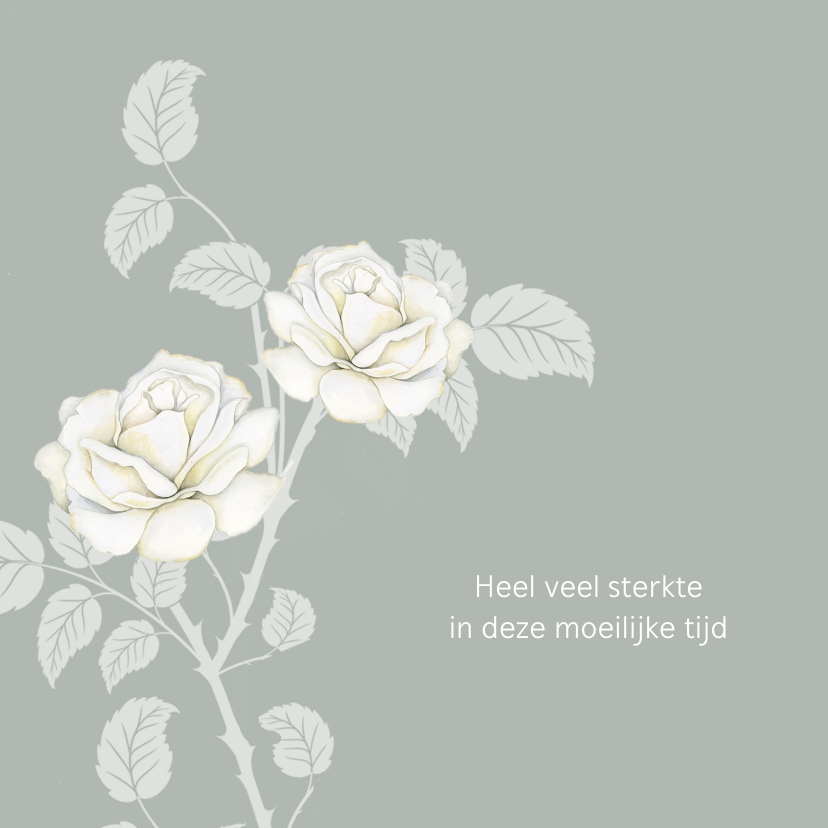 Condoleancekaarten - Sterktekaart mooie witte rozen