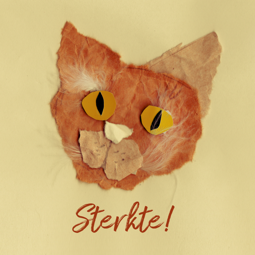 Verlies Poes - Condoleancekaarten Condoleancekaarten - Verlies Poes