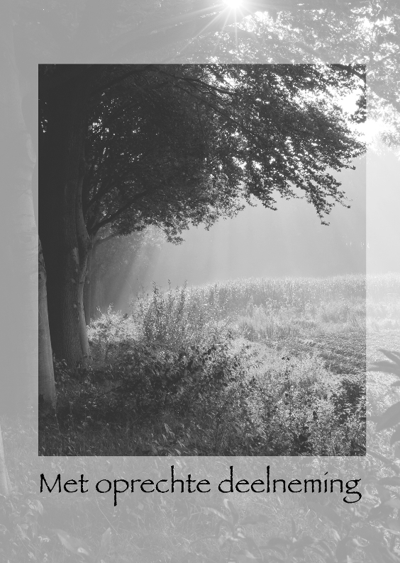 Vroege morgen in de herfst z-w - Condoleancekaarten Condoleancekaarten - Vroege morgen in de herfst z-w