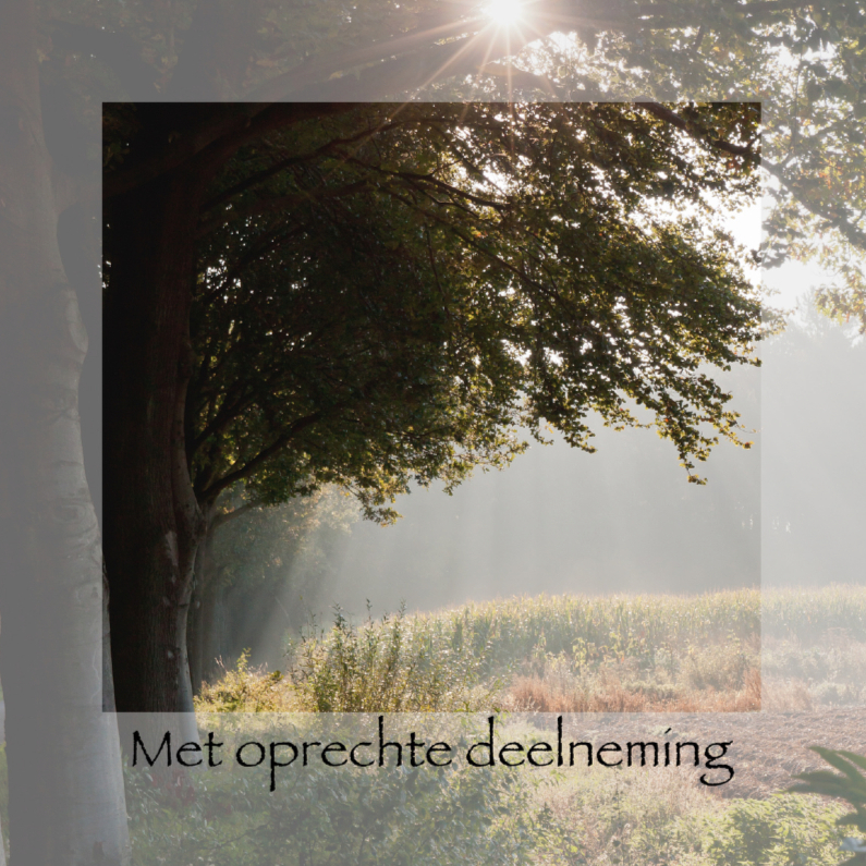 Vroege morgen in de herfst - Condoleancekaarten Condoleancekaarten - Vroege morgen in de herfst