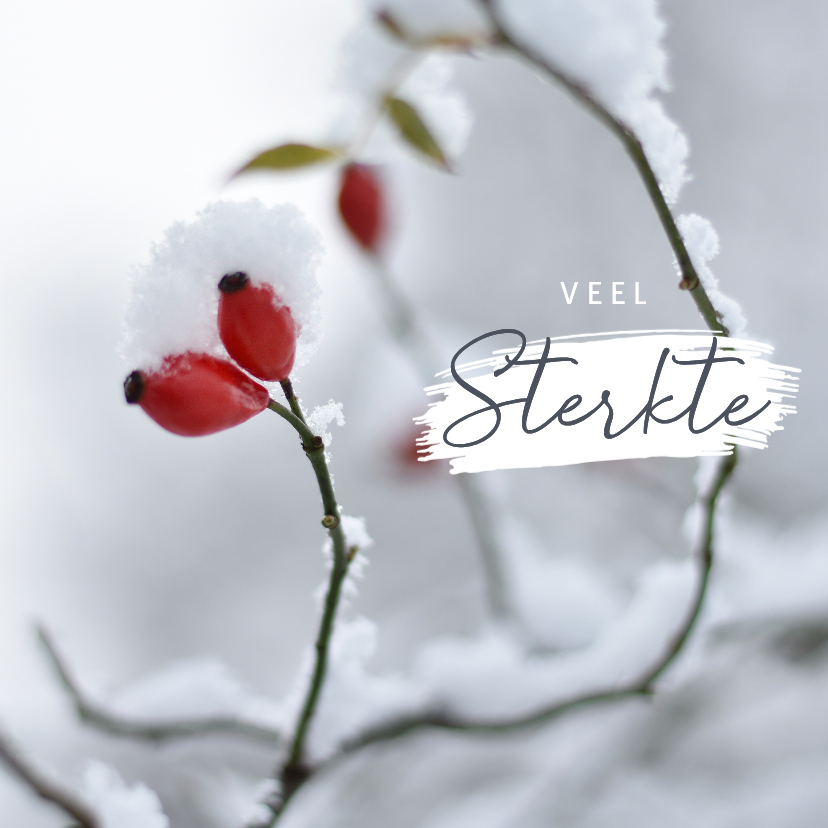 Winterse condoleance kaart met rozenbottel in de sneeuw - Condoleancekaarten Condoleancekaarten - Winterse condoleance kaart met rozenbottel in de sneeuw