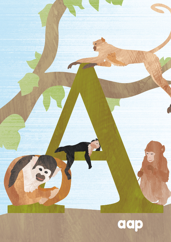 A van aap - Dierenkaarten Dierenkaarten - A van aap
