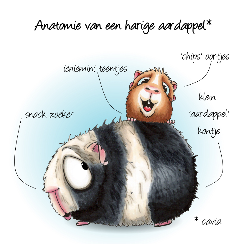 Dierenkaarten - Dierenkaart Anatomie van een Cavia