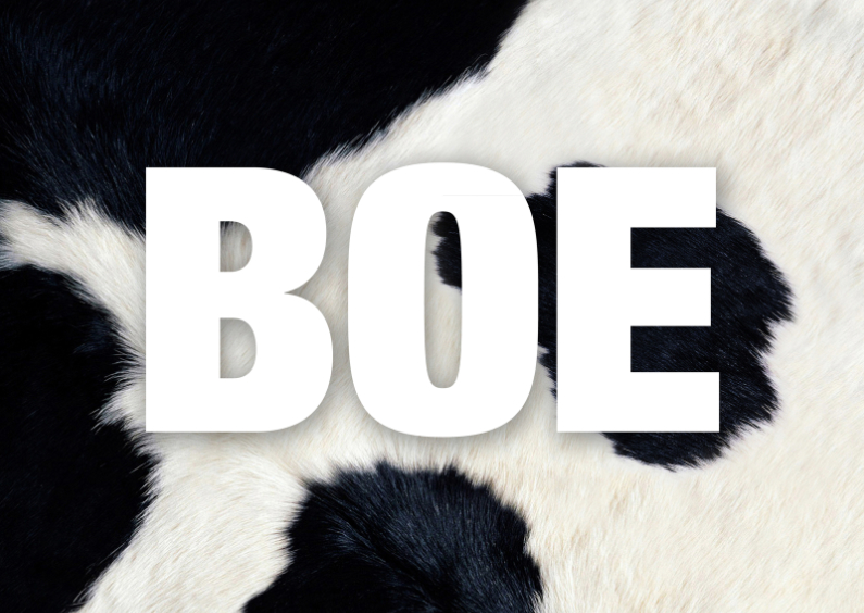 Dierenkaart Boe - Dierenkaarten Dierenkaarten - Dierenkaart Boe