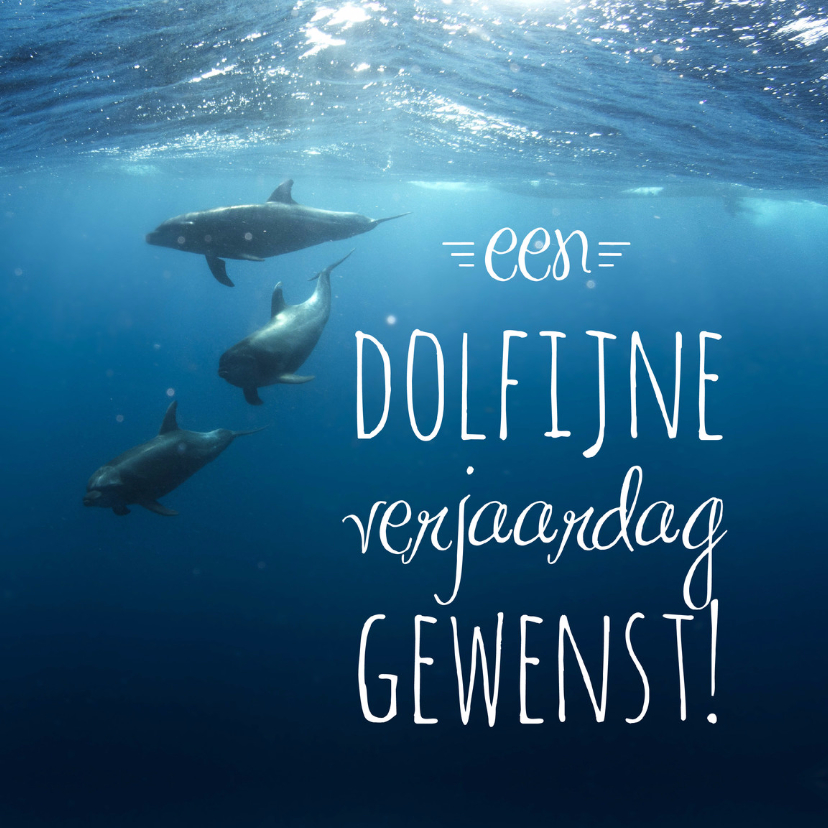 Dierenkaart dolfijn verjaardag - Dierenkaarten Dierenkaarten - Dierenkaart dolfijn verjaardag