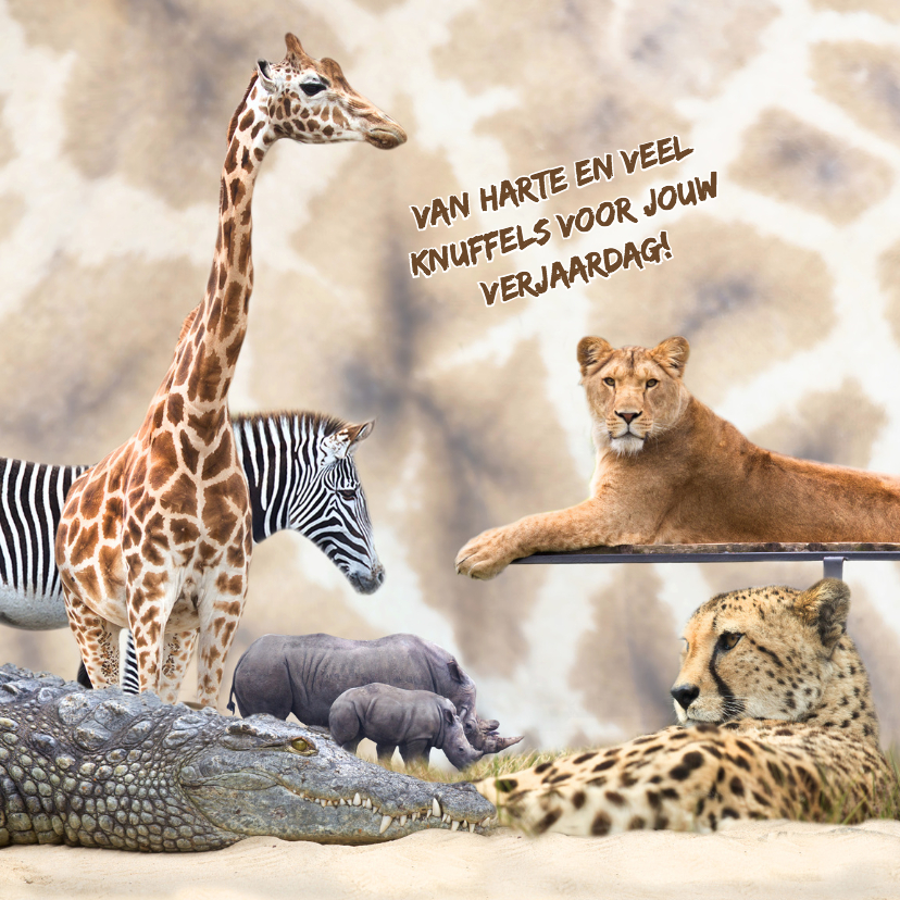 Dierenkaarten - Dierenkaart giraffeprint