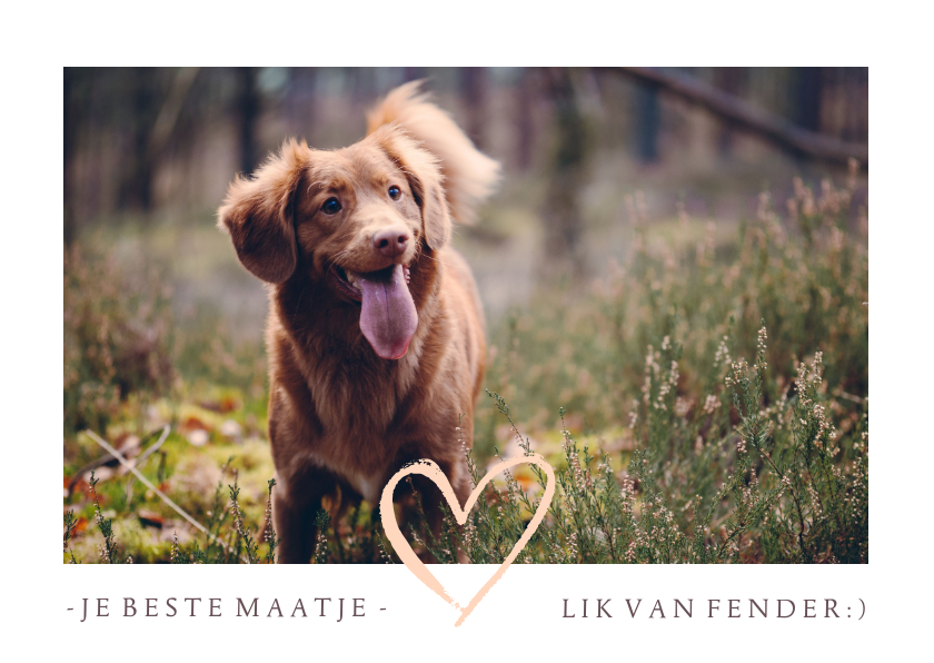 Dierenkaart je beste maatje - Dierenkaarten Dierenkaarten - Dierenkaart je beste maatje