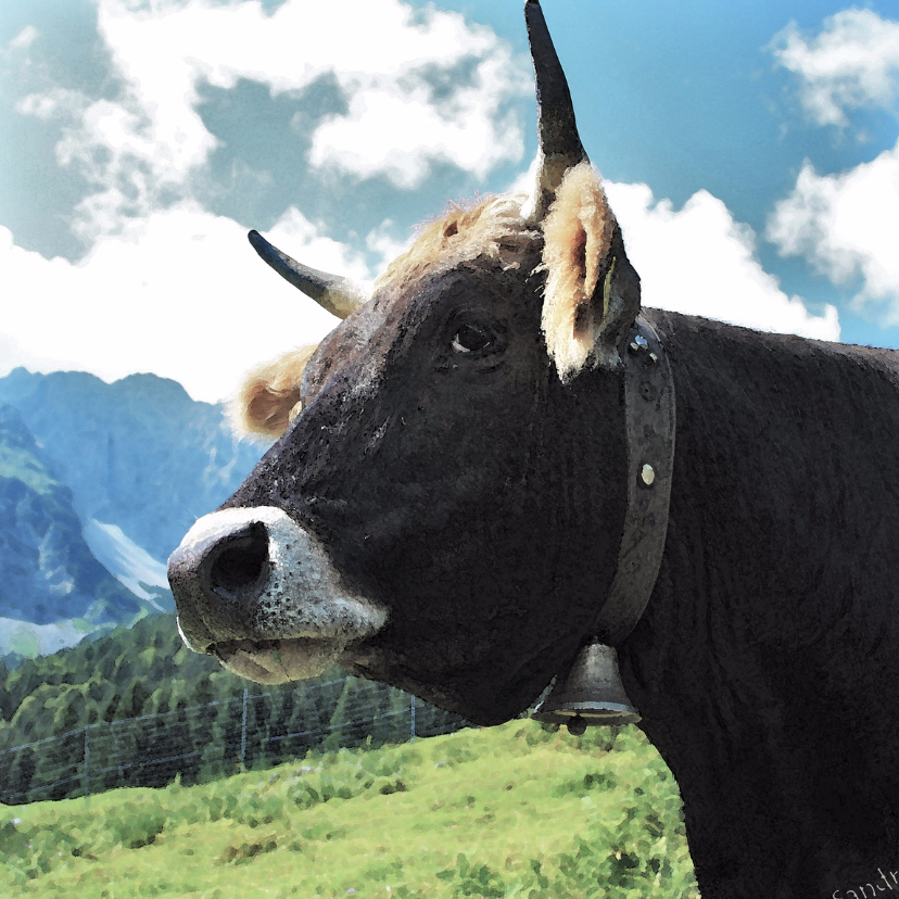 Dierenkaart Koe alm - Dierenkaarten Dierenkaarten - Dierenkaart Koe alm