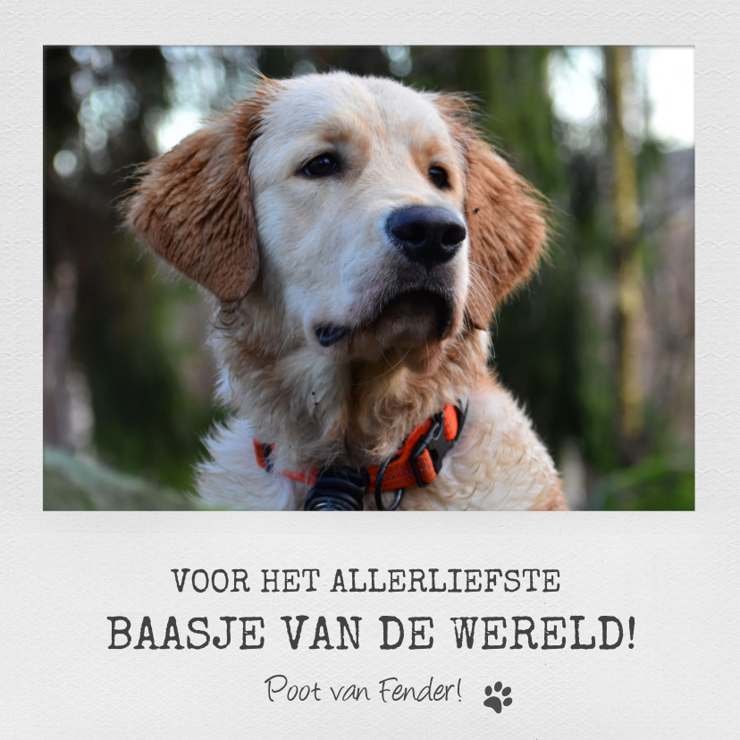 Dierenkaart met eigen foto voor het allerliefste baasje - Dierenkaarten Dierenkaarten - Dierenkaart met eigen foto voor het allerliefste baasje