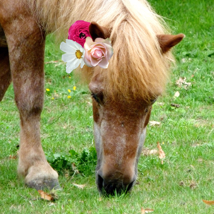 Dierenkaarten - Dierenkaart Paard met bloemen