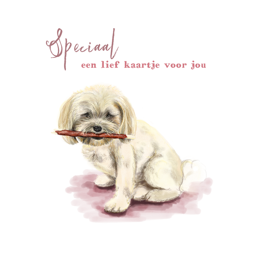 Dierenkaart tekening van een lief hondje - Dierenkaarten Dierenkaarten - Dierenkaart tekening van een lief hondje