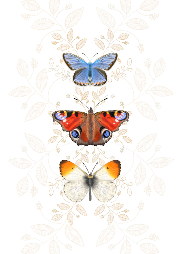Dierenkaarten - Dierenkaart vlinders botanisch