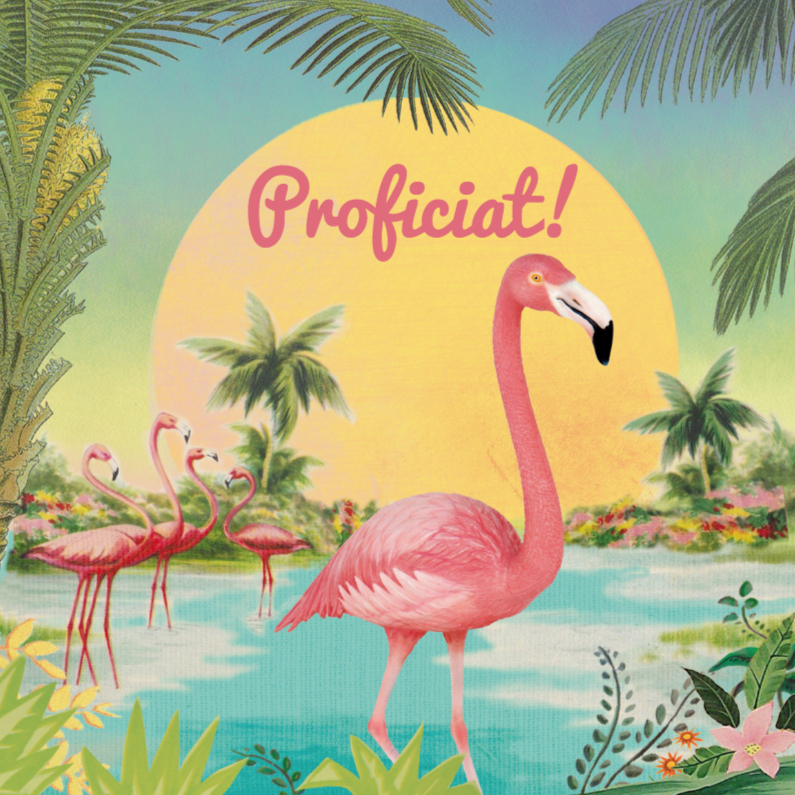 funky flamingo - Dierenkaarten Dierenkaarten - funky flamingo