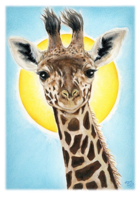 Giraffe in zonlicht - Dierenkaarten Dierenkaarten - Giraffe in zonlicht