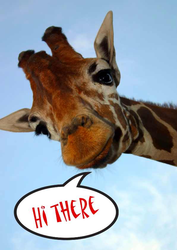 Giraffekaart Hi There - Dierenkaarten Dierenkaarten - Giraffekaart Hi There