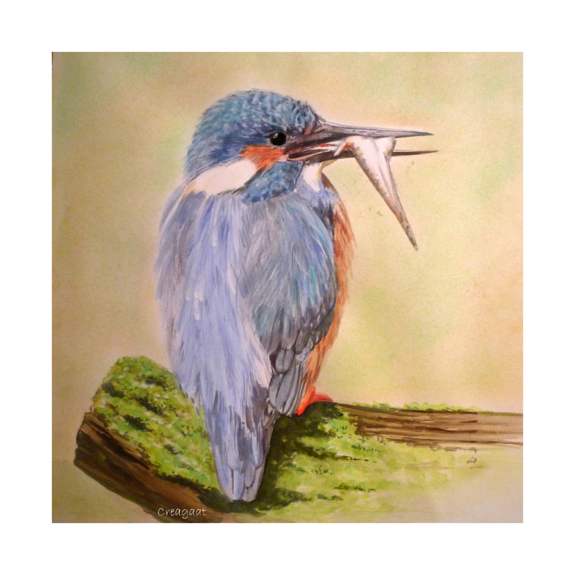 Dierenkaarten - ijsvogel met visje - kunstkaart