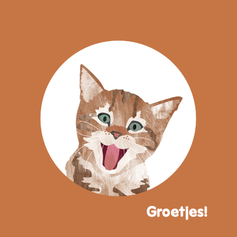 Dierenkaarten - Kat steekt tong uit