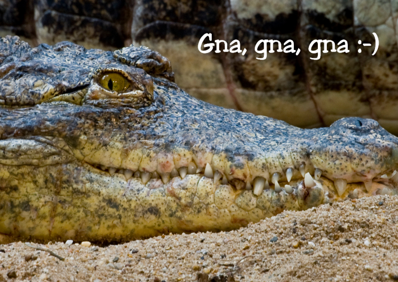 Kroko met sadistische glimlach - Dierenkaarten Dierenkaarten - Kroko met sadistische glimlach