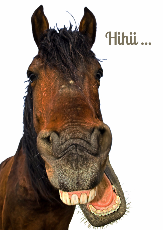 Dierenkaarten - Lachend paard-isf